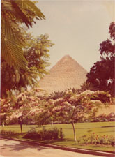Mena House Hotel in Cairo